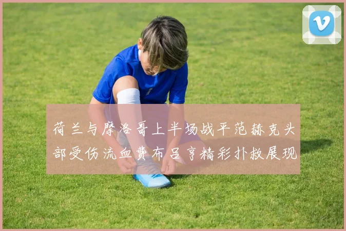 荷兰与摩洛哥上半场战平范赫克头部受伤流血费布吕亨精彩扑救展现实力
